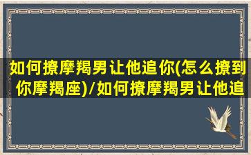 如何撩摩羯男让他追你(怎么撩到你摩羯座)/如何撩摩羯男让他追你(怎么撩到你摩羯座)-我的网站