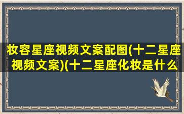 妆容星座视频文案配图(十二星座视频文案)(十二星座化妆是什么样子)