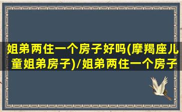 姐弟两住一个房子好吗(摩羯座儿童姐弟房子)/姐弟两住一个房子好吗(摩羯座儿童姐弟房子)-我的网站