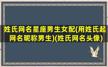 姓氏网名星座男生女配(用姓氏起网名昵称男生)(姓氏网名头像)