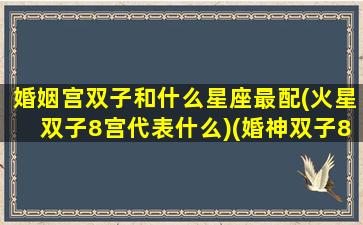 婚姻宫双子和什么星座最配(火星双子8宫代表什么)(婚神双子8宫)