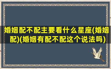 婚姻配不配主要看什么星座(婚姻配)(婚姻有配不配这个说法吗)