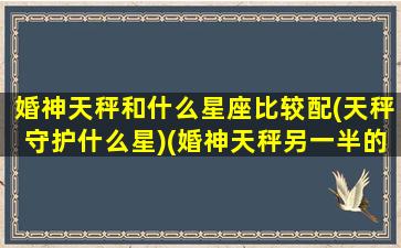 婚神天秤和什么星座比较配(天秤守护什么星)(婚神天秤另一半的样子)