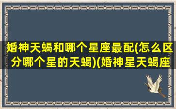 婚神天蝎和哪个星座最配(怎么区分哪个星的天蝎)(婚神星天蝎座相识方式)