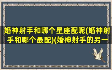 婚神射手和哪个星座配呢(婚神射手和哪个最配)(婚神射手的另一半长相)