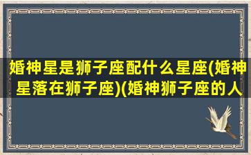 婚神星是狮子座配什么星座(婚神星落在狮子座)(婚神狮子座的人可爱吗)