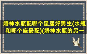 婚神水瓶配哪个星座好男生(水瓶和哪个座最配)(婚神水瓶的另一半很怪)