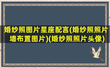 婚纱照图片星座配言(婚纱照照片墙布置图片)(婚纱照照片头像)