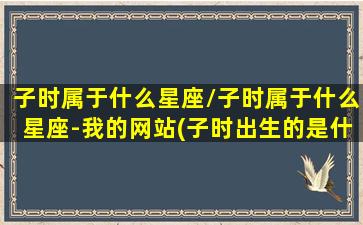 子时属于什么星座/子时属于什么星座-我的网站(子时出生的是什么星座)