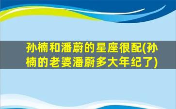 孙楠和潘蔚的星座很配(孙楠的老婆潘蔚多大年纪了)