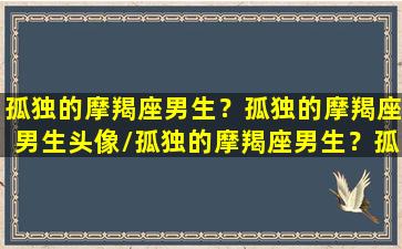 孤独的摩羯座男生？孤独的摩羯座男生头像/孤独的摩羯座男生？孤独的摩羯座男生头像-我的网站