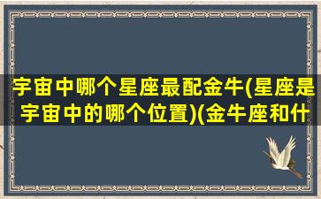 宇宙中哪个星座最配金牛(星座是宇宙中的哪个位置)(金牛座和什么星座匹配度最高)