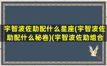 宇智波佐助配什么星座(宇智波佐助配什么秘卷)(宇智波佐助组合技能怎么用)