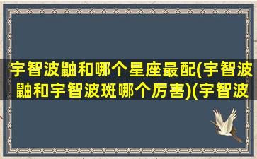 宇智波鼬和哪个星座最配(宇智波鼬和宇智波斑哪个厉害)(宇智波鼬比宇智波斑强吗)