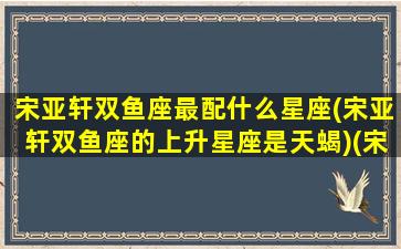 宋亚轩双鱼座最配什么星座(宋亚轩双鱼座的上升星座是天蝎)(宋亚轩和什么星座最配)