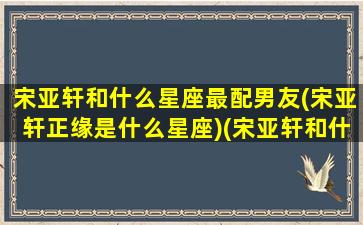 宋亚轩和什么星座最配男友(宋亚轩正缘是什么星座)(宋亚轩和什么长相的女孩配)