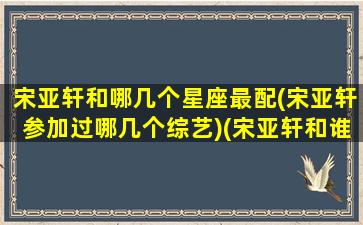 宋亚轩和哪几个星座最配(宋亚轩参加过哪几个综艺)(宋亚轩和谁合作过舞台)