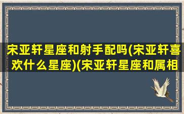 宋亚轩星座和射手配吗(宋亚轩喜欢什么星座)(宋亚轩星座和属相)