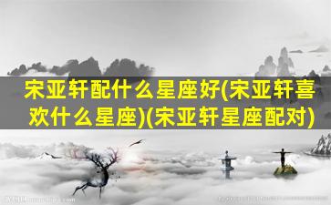 宋亚轩配什么星座好(宋亚轩喜欢什么星座)(宋亚轩星座配对)