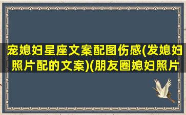 宠媳妇星座文案配图伤感(发媳妇照片配的文案)(朋友圈媳妇照片配文)