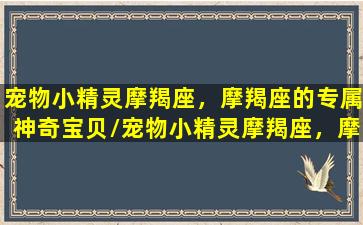 宠物小精灵摩羯座，摩羯座的专属神奇宝贝/宠物小精灵摩羯座，摩羯座的专属神奇宝贝-我的网站