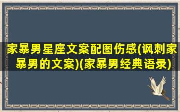 家暴男星座文案配图伤感(讽刺家暴男的文案)(家暴男经典语录)