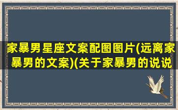 家暴男星座文案配图图片(远离家暴男的文案)(关于家暴男的说说)