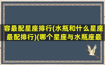 容最配星座排行(水瓶和什么星座最配排行)(哪个星座与水瓶座最般配)