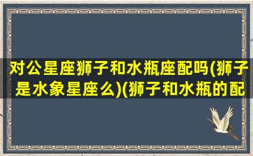 对公星座狮子和水瓶座配吗(狮子是水象星座么)(狮子和水瓶的配对指数是多少)