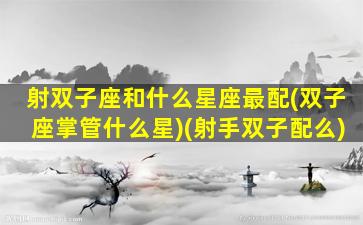 射双子座和什么星座最配(双子座掌管什么星)(射手双子配么)