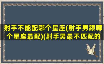 射手不能配哪个星座(射手男跟哪个星座最配)(射手男最不匹配的星座)