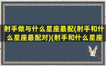 射手做与什么星座最配(射手和什么星座最配对)(射手和什么星座更配)