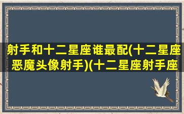 射手和十二星座谁最配(十二星座恶魔头像射手)(十二星座射手座和什么星座最配)