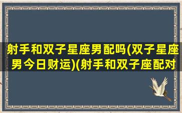 射手和双子星座男配吗(双子星座男今日财运)(射手和双子座配对指数多少)