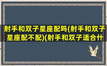 射手和双子星座配吗(射手和双子星座配不配)(射手和双子适合什么关系)