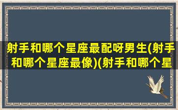 射手和哪个星座最配呀男生(射手和哪个星座最像)(射手和哪个星座更配)