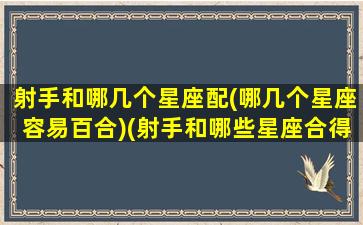 射手和哪几个星座配(哪几个星座容易百合)(射手和哪些星座合得来)