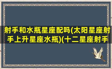 射手和水瓶星座配吗(太阳星座射手上升星座水瓶)(十二星座射手和水瓶在一起会怎样)