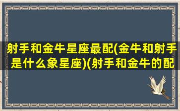 射手和金牛星座最配(金牛和射手是什么象星座)(射手和金牛的配对指数)