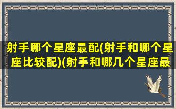 射手哪个星座最配(射手和哪个星座比较配)(射手和哪几个星座最配)