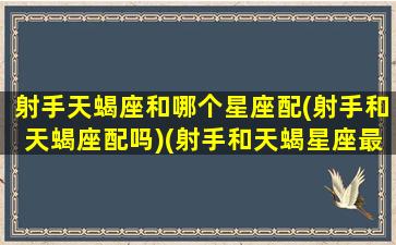 射手天蝎座和哪个星座配(射手和天蝎座配吗)(射手和天蝎星座最配)