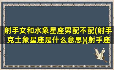 射手女和水象星座男配不配(射手克土象星座是什么意思)(射手座女和水瓶座女配对指数)