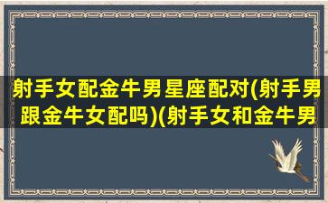 射手女配金牛男星座配对(射手男跟金牛女配吗)(射手女和金牛男是孽缘吗)