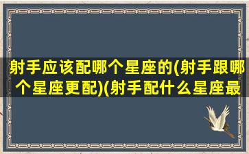 射手应该配哪个星座的(射手跟哪个星座更配)(射手配什么星座最好)