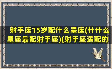 射手座15岁配什么星座(什什么星座最配射手座)(射手座适配的星座)