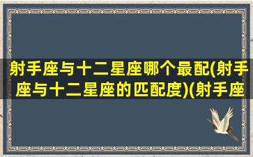 射手座与十二星座哪个最配(射手座与十二星座的匹配度)(射手座和十二星座谁最配)