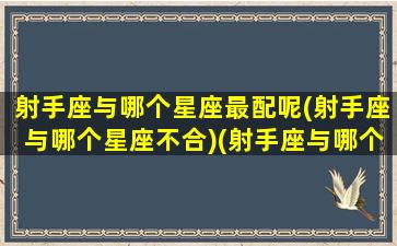 射手座与哪个星座最配呢(射手座与哪个星座不合)(射手座与哪个星座最合适)