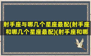 射手座与哪几个星座最配(射手座和哪几个星座最配)(射手座和哪星座最合适)