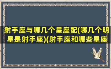 射手座与哪几个星座配(哪几个明星是射手座)(射手座和哪些星座配对)