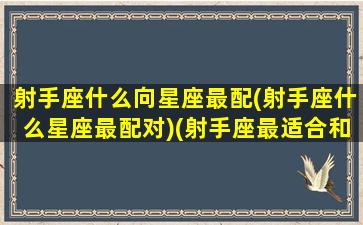 射手座什么向星座最配(射手座什么星座最配对)(射手座最适合和什么星座交朋友)